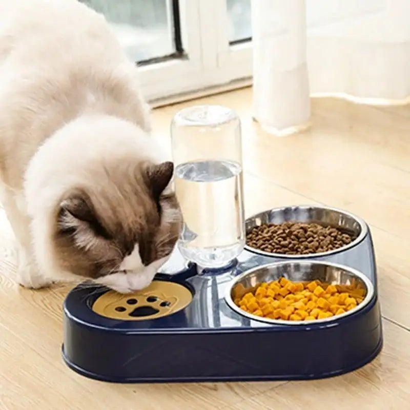 3 in 1 Cat Food Bowl with Automatic Drinking Feeder